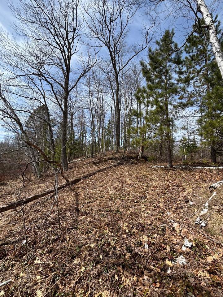 https://bt-photos.global.ssl.fastly.net/northwoods/1280_boomver_1_216954-2.jpg