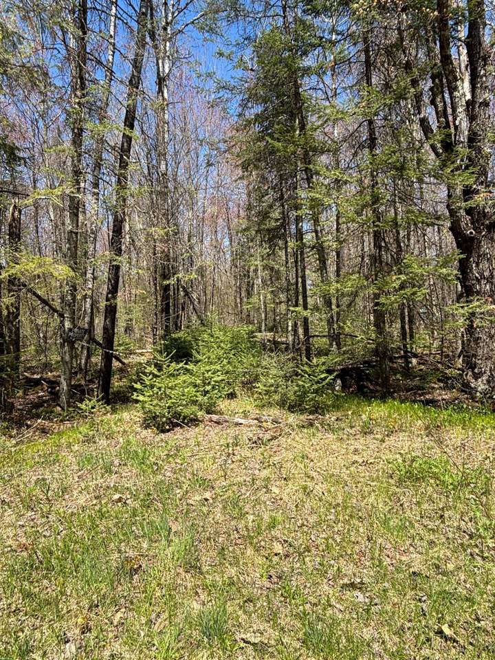 0 Vascheau Rd - Photo 1