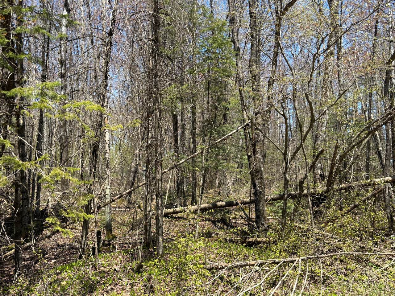 https://bt-photos.global.ssl.fastly.net/northwoods/1280_boomver_1_217027-2.jpg