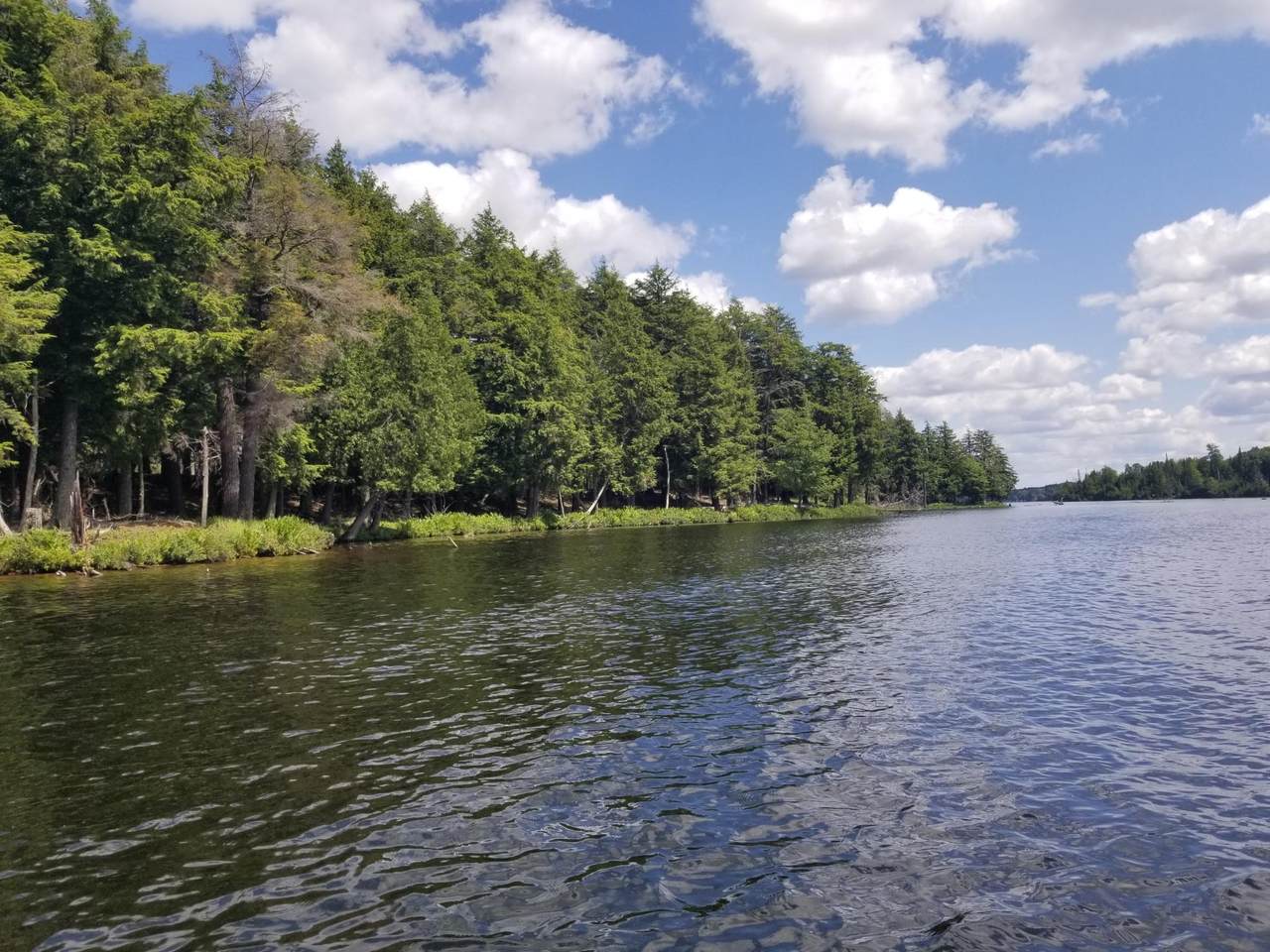 5 AC Sylvan Isle Dr - Photo 1