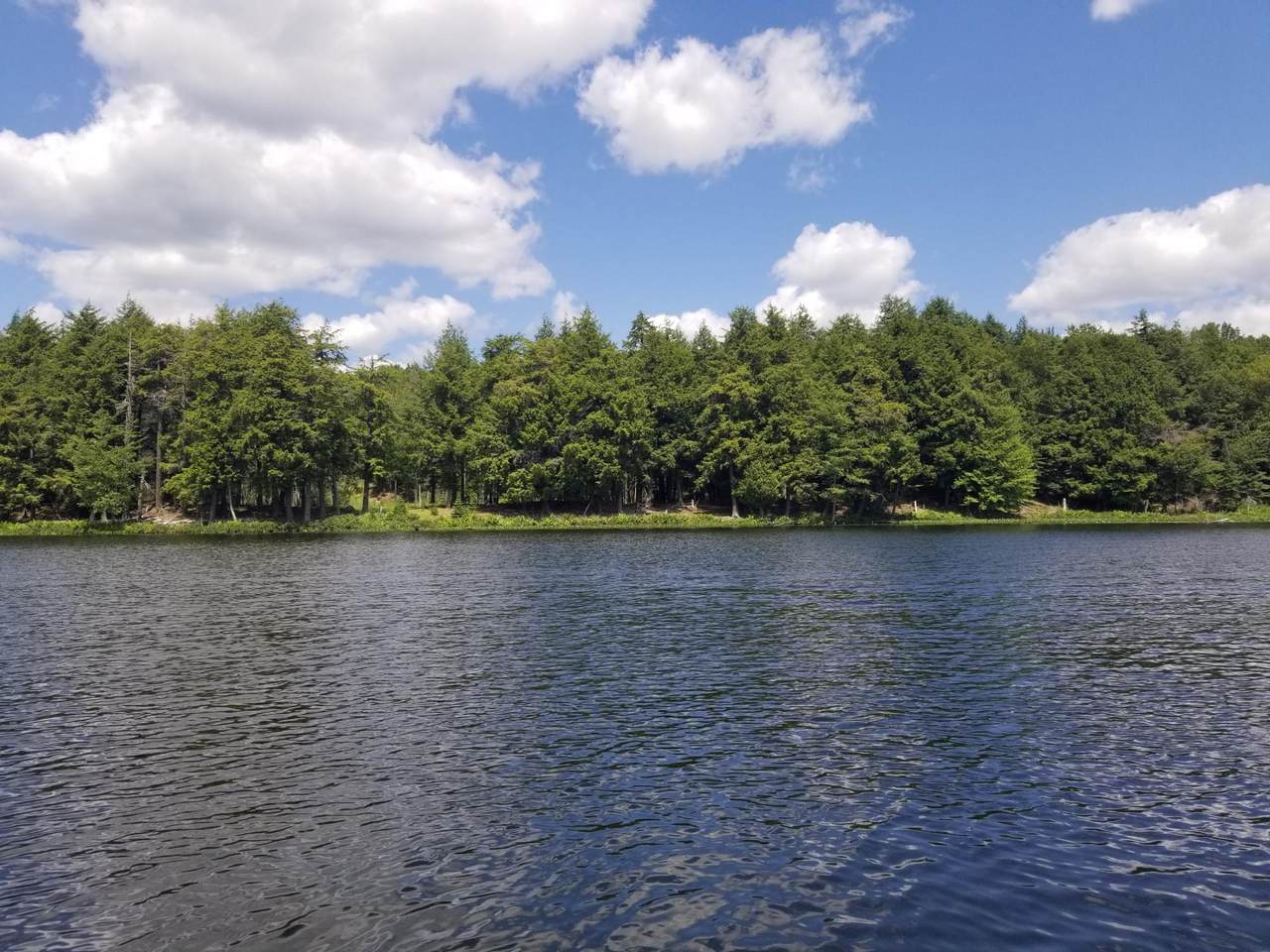 https://bt-photos.global.ssl.fastly.net/northwoods/1280_boomver_1_217031-2.jpg