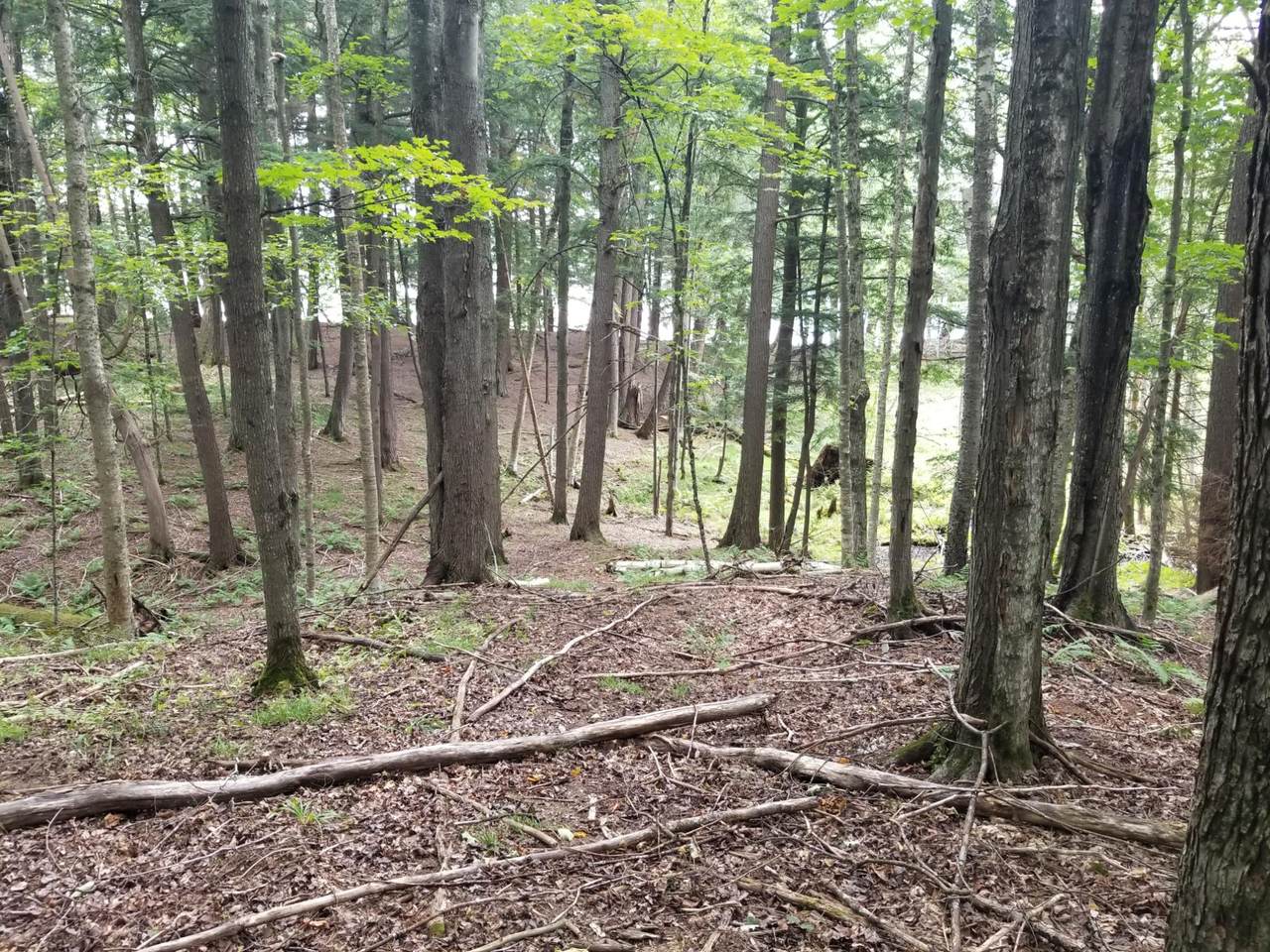 https://bt-photos.global.ssl.fastly.net/northwoods/1280_boomver_1_217031-2.jpg
