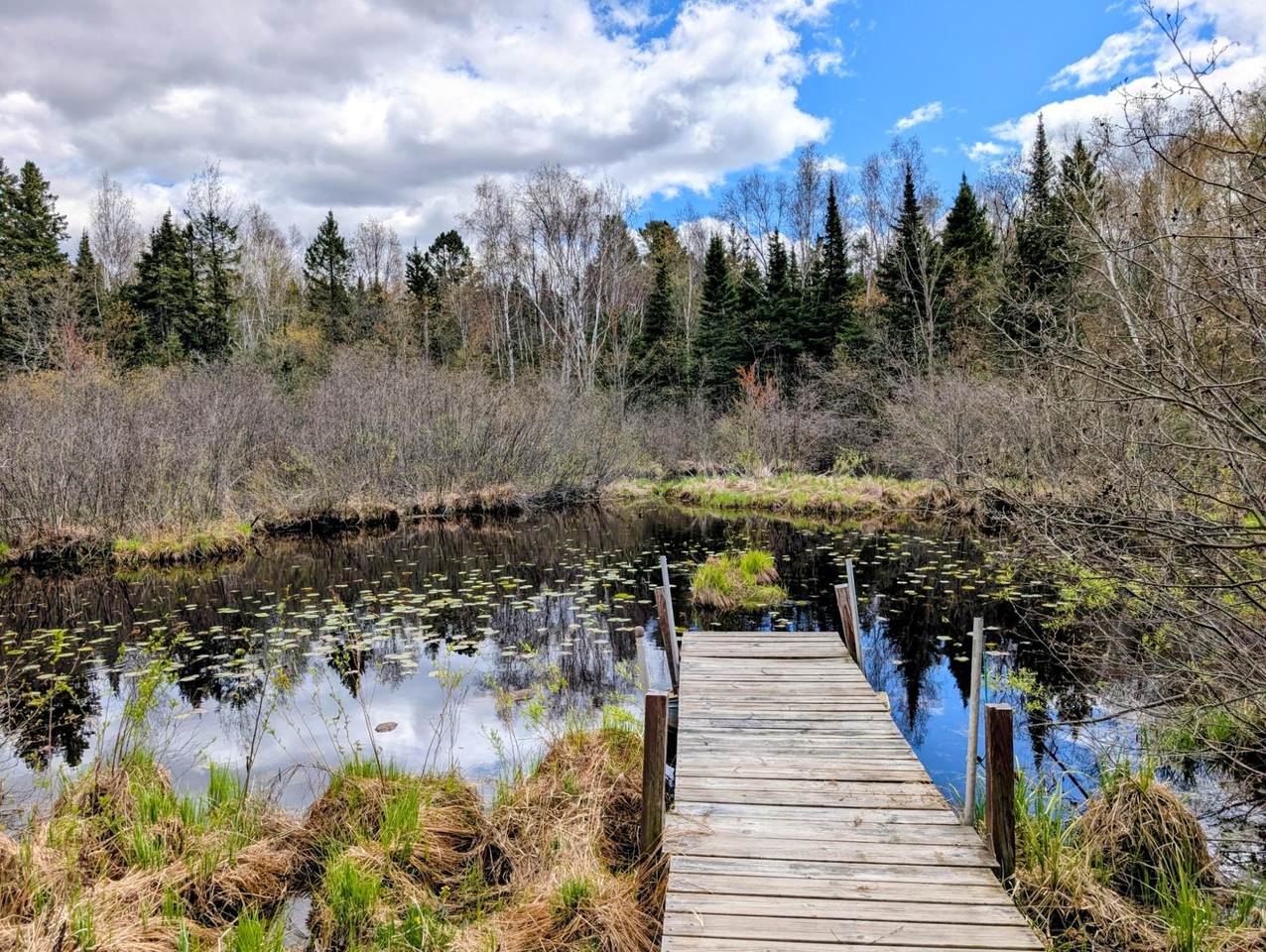 https://bt-photos.global.ssl.fastly.net/northwoods/1280_boomver_1_217060-2.jpg