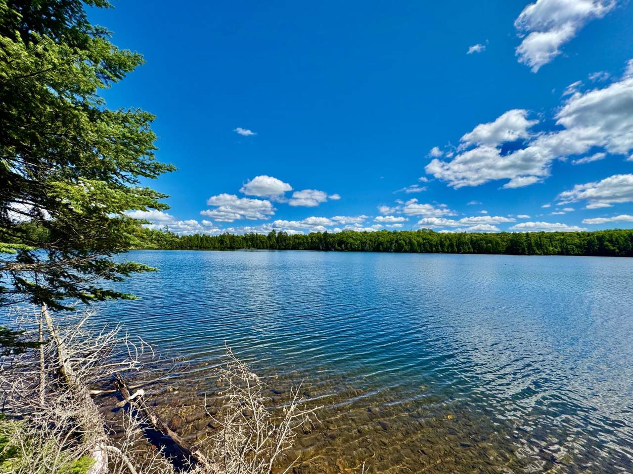 ON Beatons Lake Rd - Photo 1