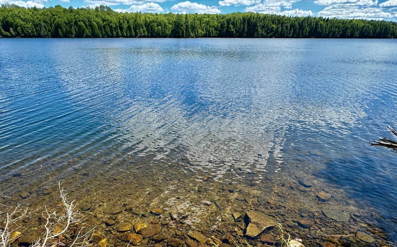 https://bt-photos.global.ssl.fastly.net/northwoods/1280_boomver_1_217070-2.jpg
