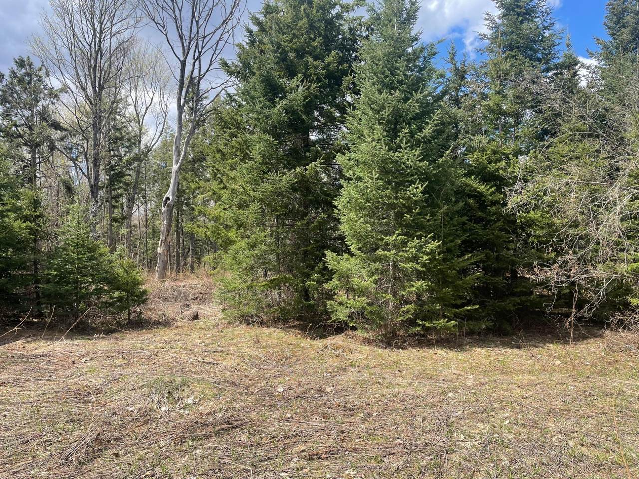 81620 Pociask Rd - Photo 1