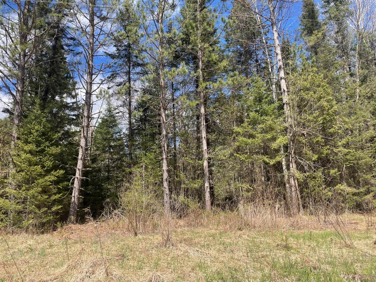 https://bt-photos.global.ssl.fastly.net/northwoods/1280_boomver_1_217092-2.jpg