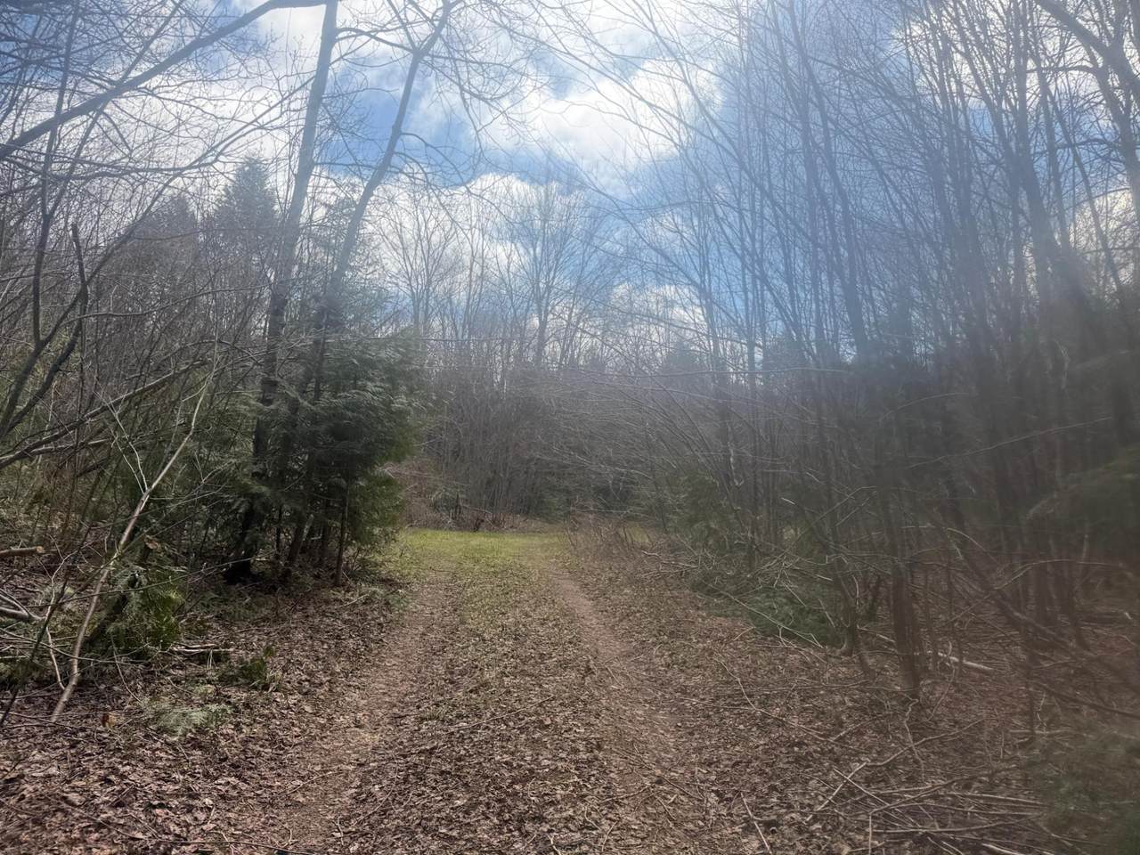 OFF Black River Rd - Photo 1