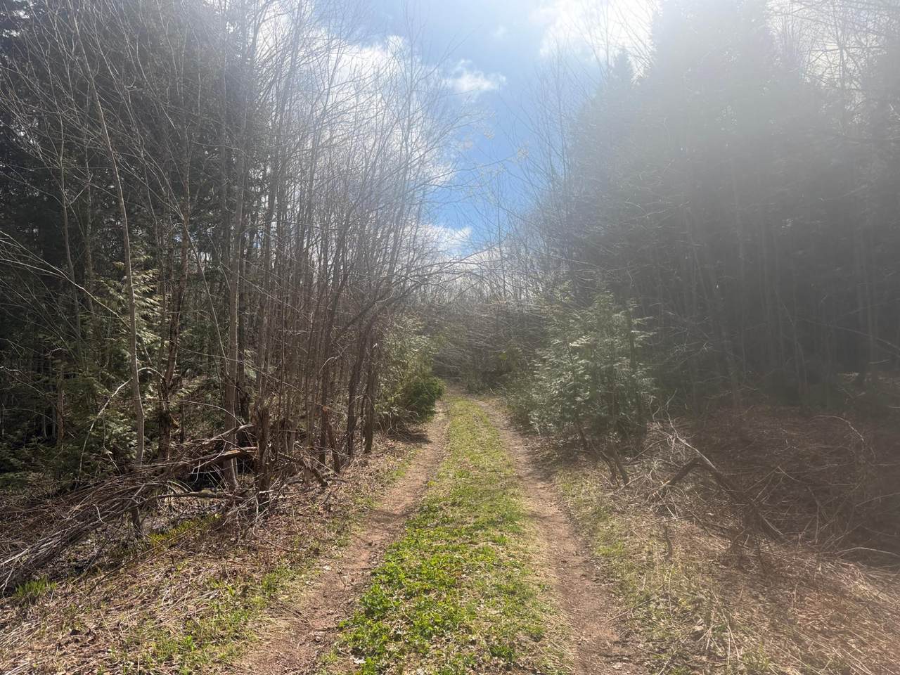 https://bt-photos.global.ssl.fastly.net/northwoods/1280_boomver_1_217100-2.jpg