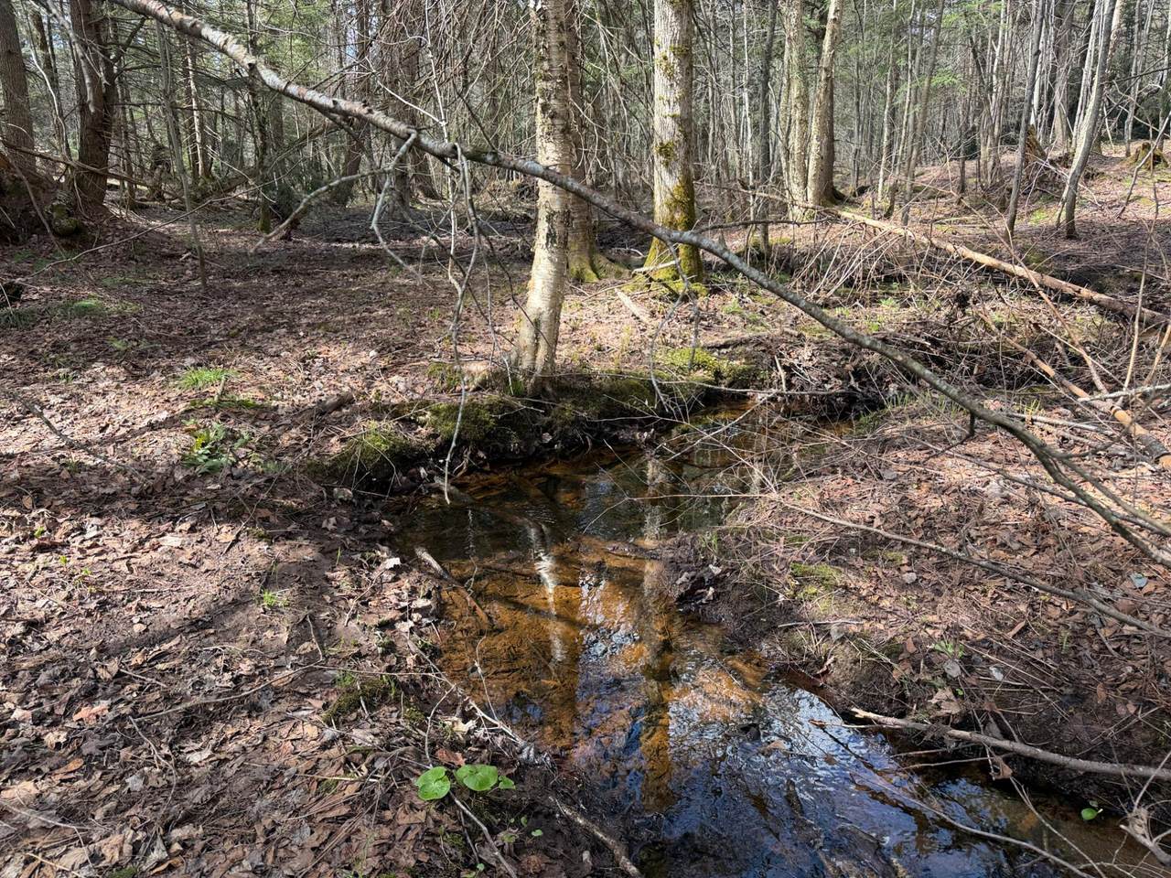 https://bt-photos.global.ssl.fastly.net/northwoods/1280_boomver_1_217100-2.jpg