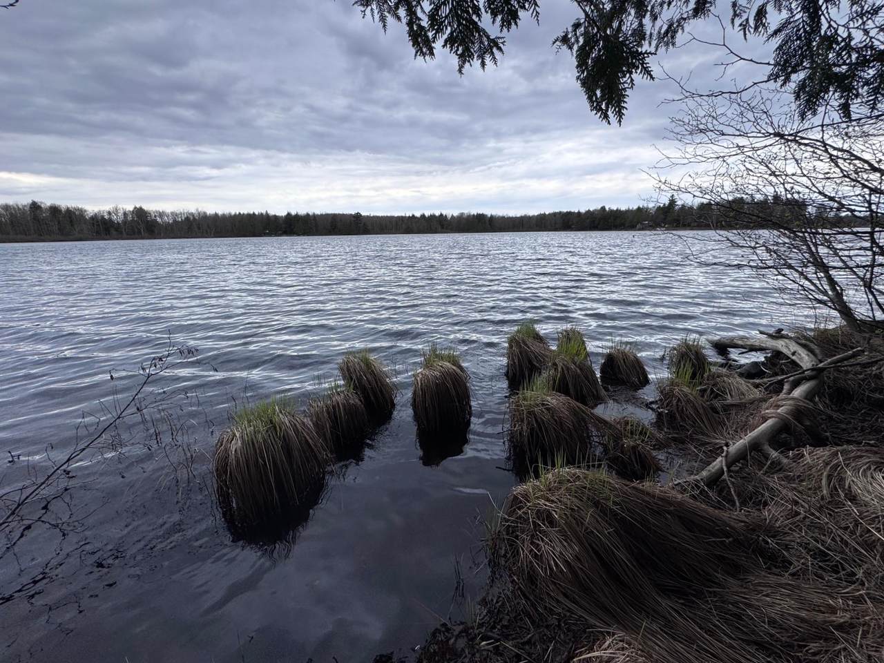 https://bt-photos.global.ssl.fastly.net/northwoods/1280_boomver_1_217137-2.jpg
