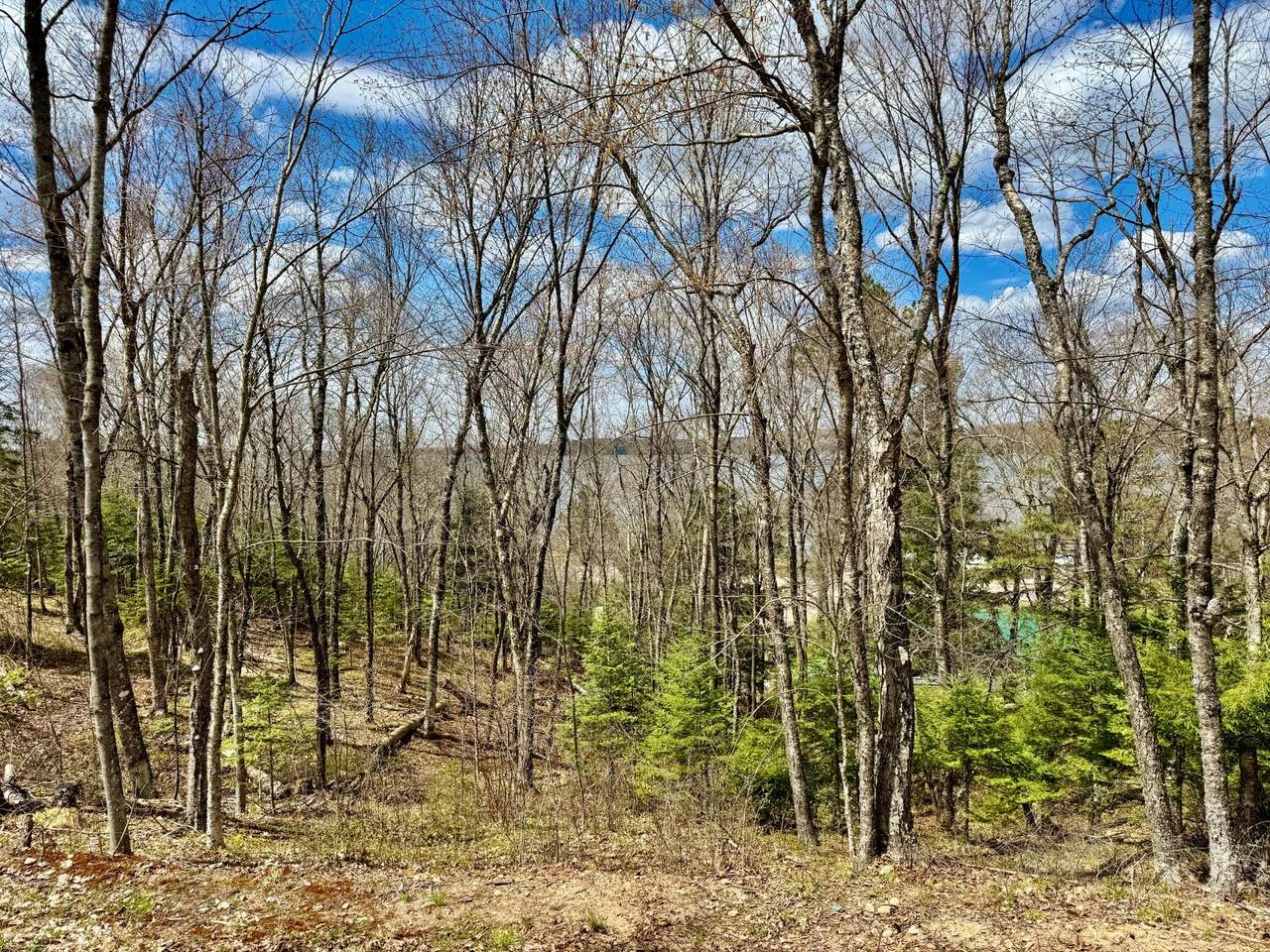https://bt-photos.global.ssl.fastly.net/northwoods/1280_boomver_1_217177-2.jpg