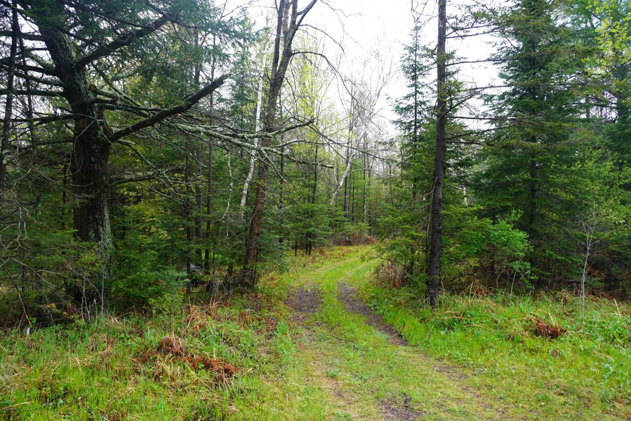 20 Acres Cth X - Photo 1