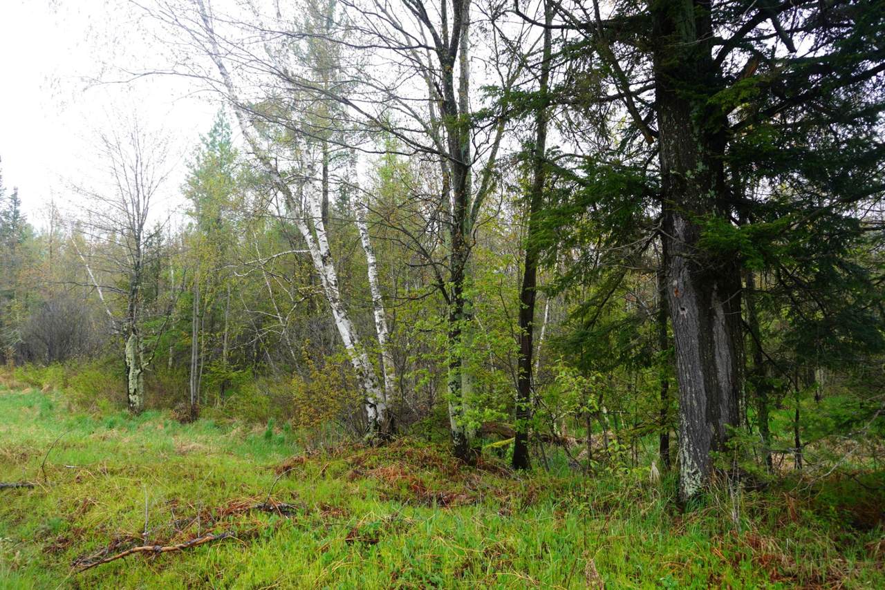 https://bt-photos.global.ssl.fastly.net/northwoods/1280_boomver_1_217186-2.jpg
