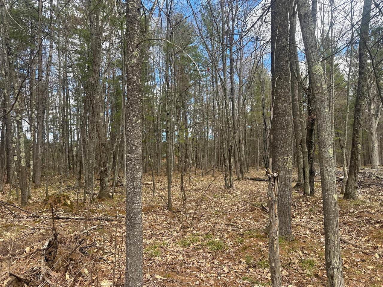 https://bt-photos.global.ssl.fastly.net/northwoods/1280_boomver_1_217197-2.jpg
