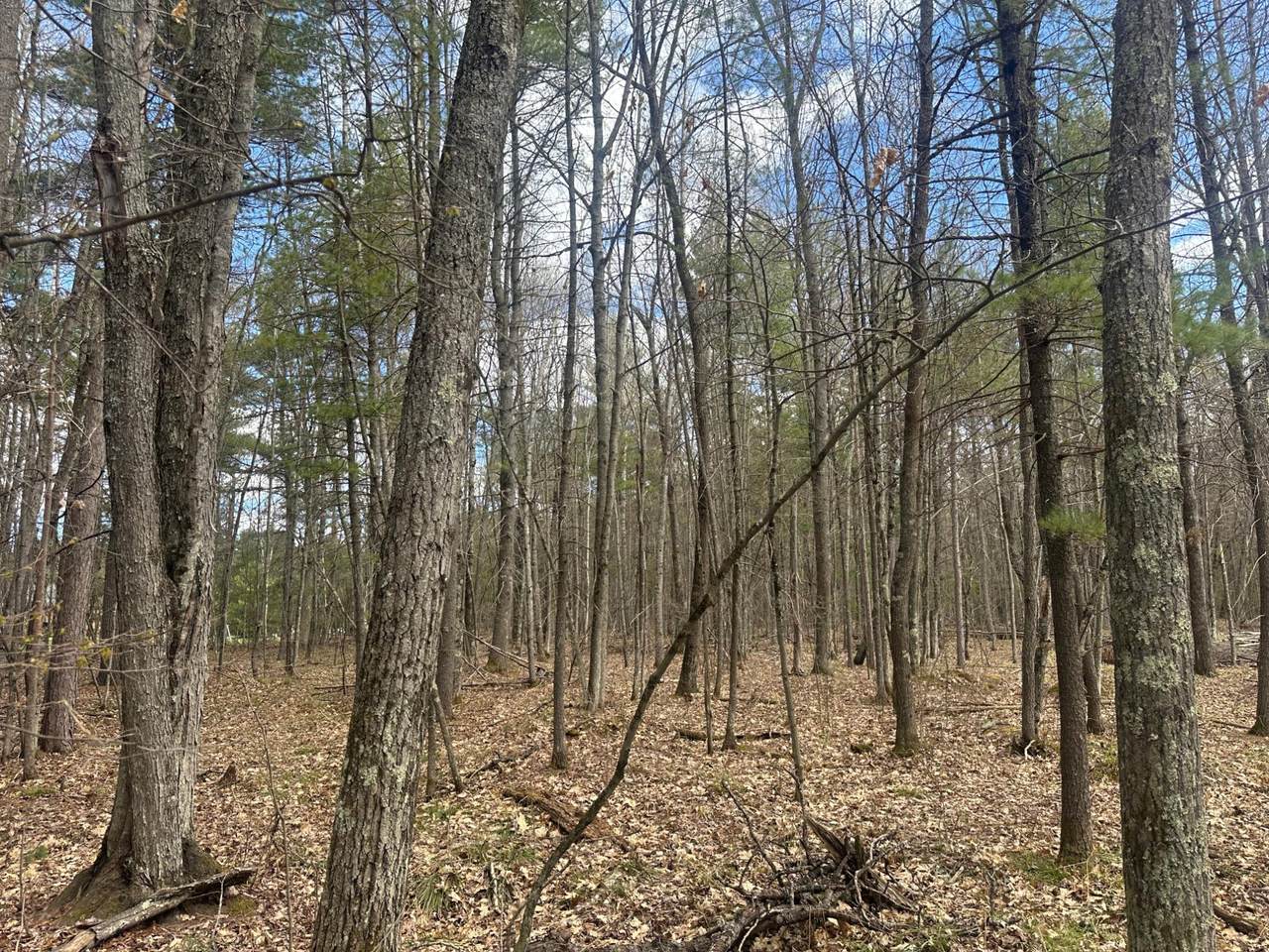 https://bt-photos.global.ssl.fastly.net/northwoods/1280_boomver_1_217197-2.jpg