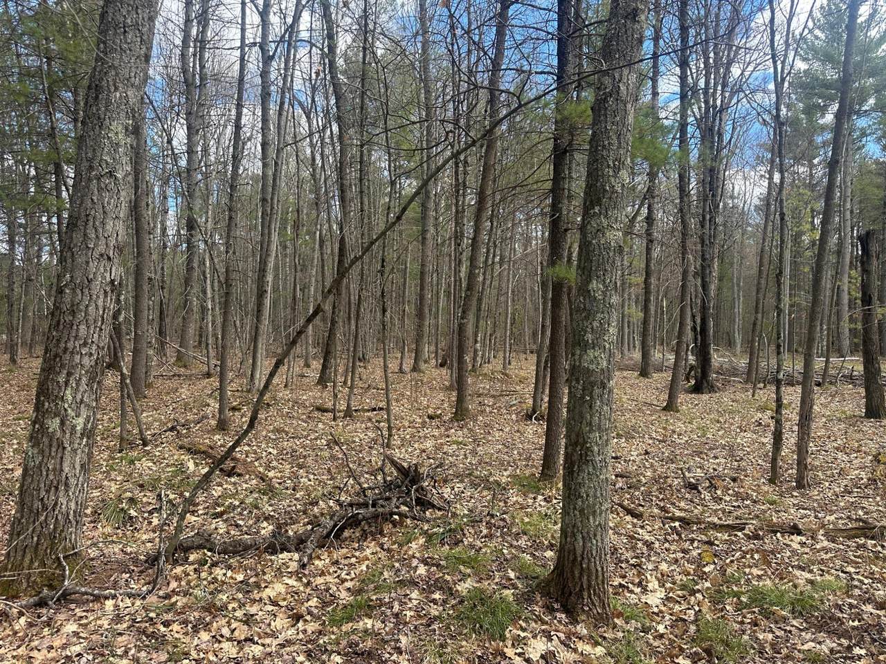 https://bt-photos.global.ssl.fastly.net/northwoods/1280_boomver_1_217197-2.jpg