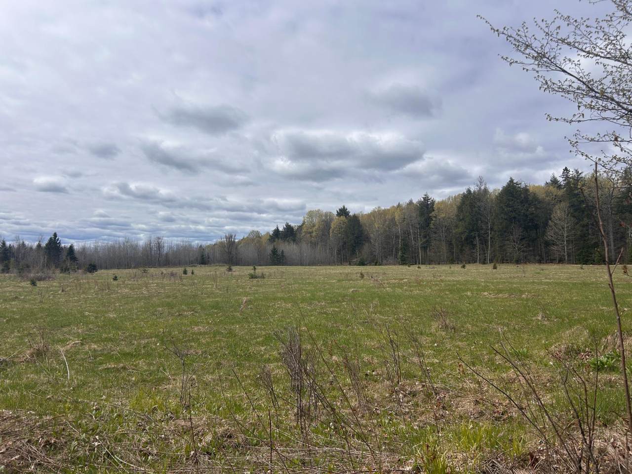 https://bt-photos.global.ssl.fastly.net/northwoods/1280_boomver_1_217228-2.jpg