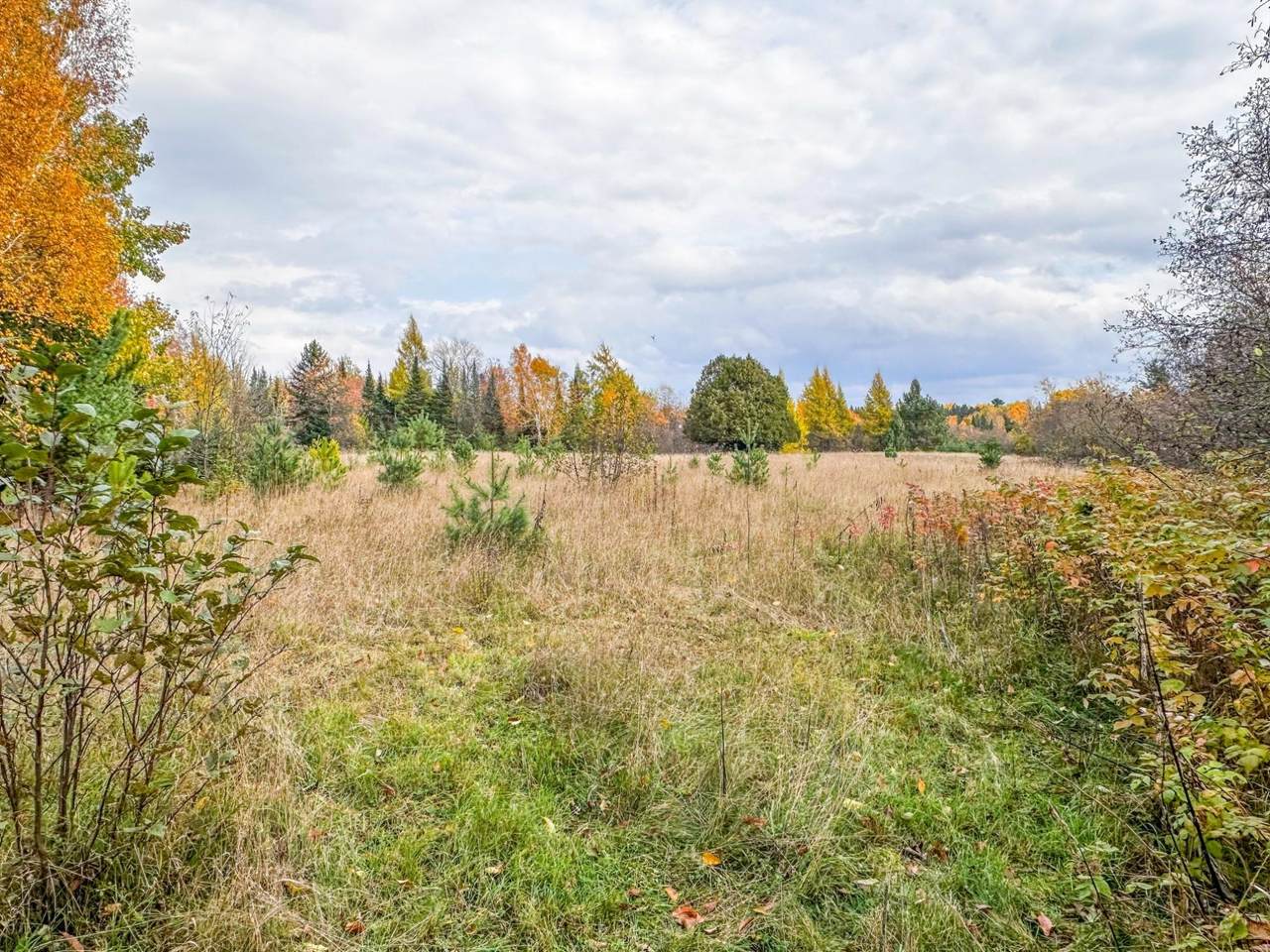 https://bt-photos.global.ssl.fastly.net/northwoods/1280_boomver_1_217241-2.jpg