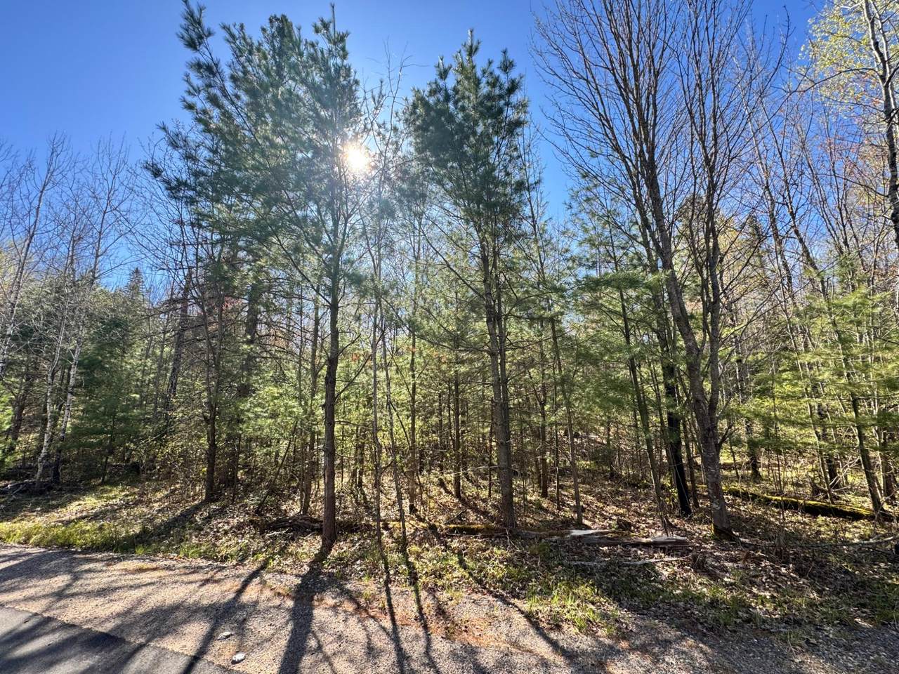 Lot 2A Deer Tr - Photo 1
