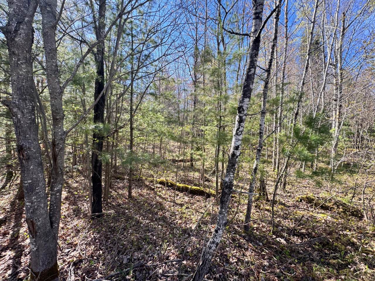 https://bt-photos.global.ssl.fastly.net/northwoods/1280_boomver_1_217258-2.jpg