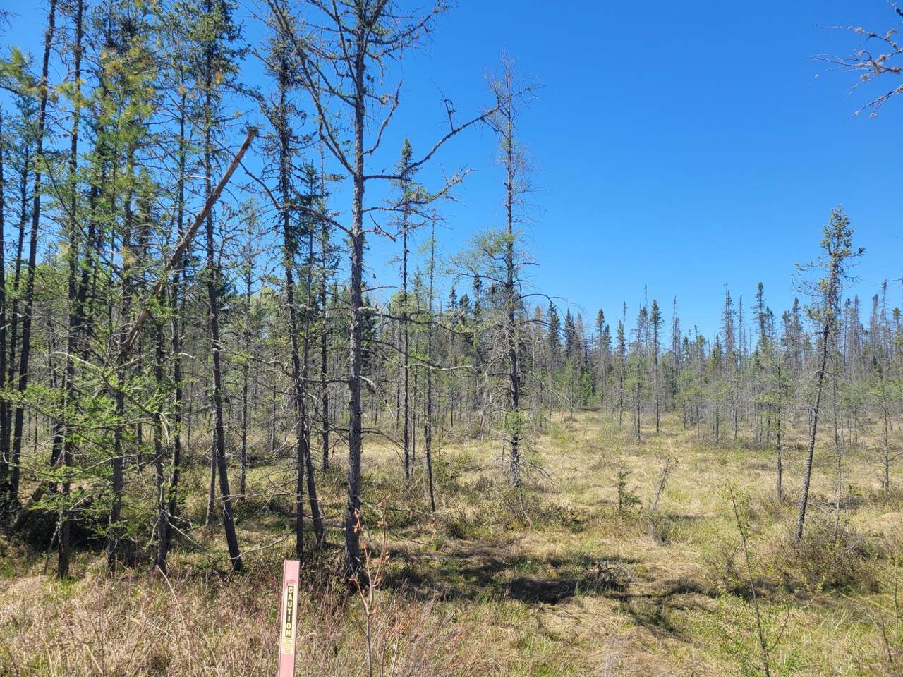 https://bt-photos.global.ssl.fastly.net/northwoods/1280_boomver_1_217273-2.jpg