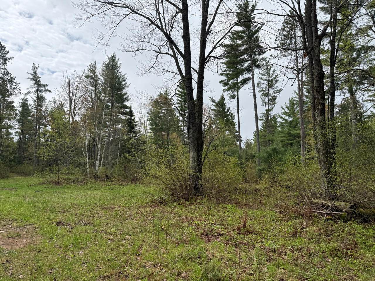 https://bt-photos.global.ssl.fastly.net/northwoods/1280_boomver_1_217278-2.jpg