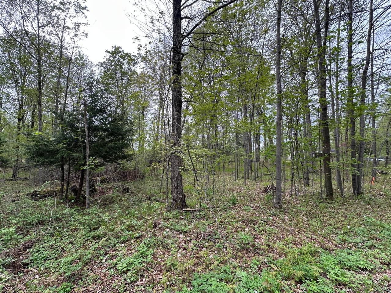https://bt-photos.global.ssl.fastly.net/northwoods/1280_boomver_1_217285-2.jpg