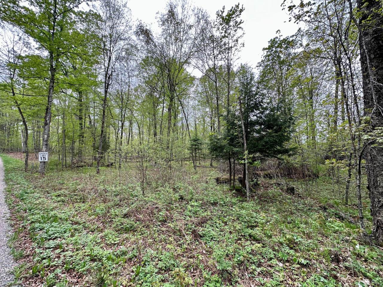 https://bt-photos.global.ssl.fastly.net/northwoods/1280_boomver_1_217285-2.jpg