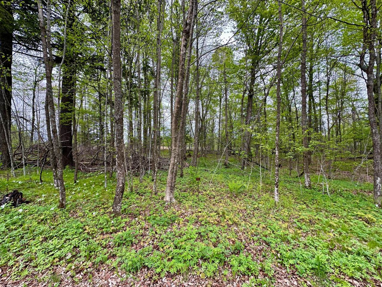 Lot 36 Fairway Dr - Photo 1