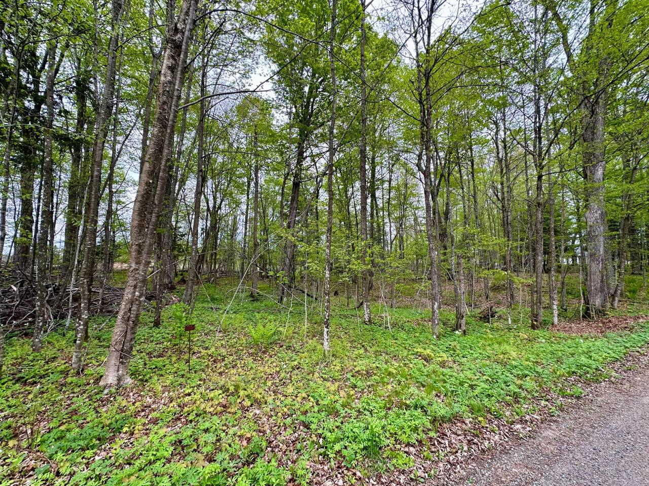 https://bt-photos.global.ssl.fastly.net/northwoods/1280_boomver_1_217286-2.jpg