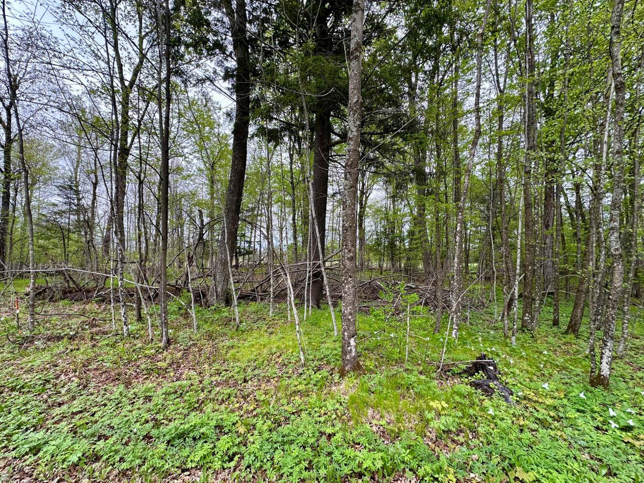 https://bt-photos.global.ssl.fastly.net/northwoods/1280_boomver_1_217286-2.jpg