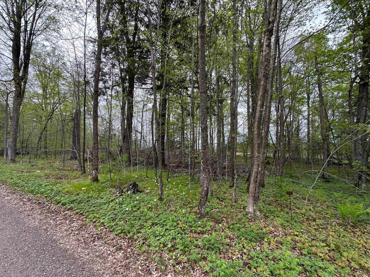 https://bt-photos.global.ssl.fastly.net/northwoods/1280_boomver_1_217286-2.jpg