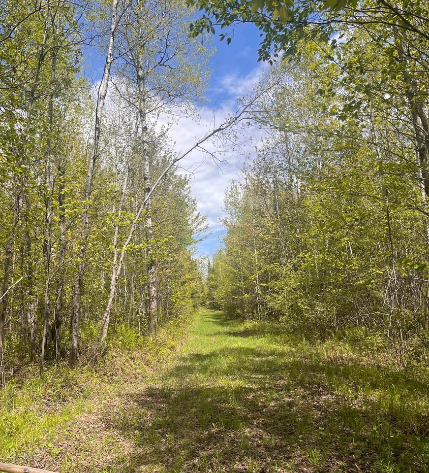 80 acres Clausen Rd - Photo 1