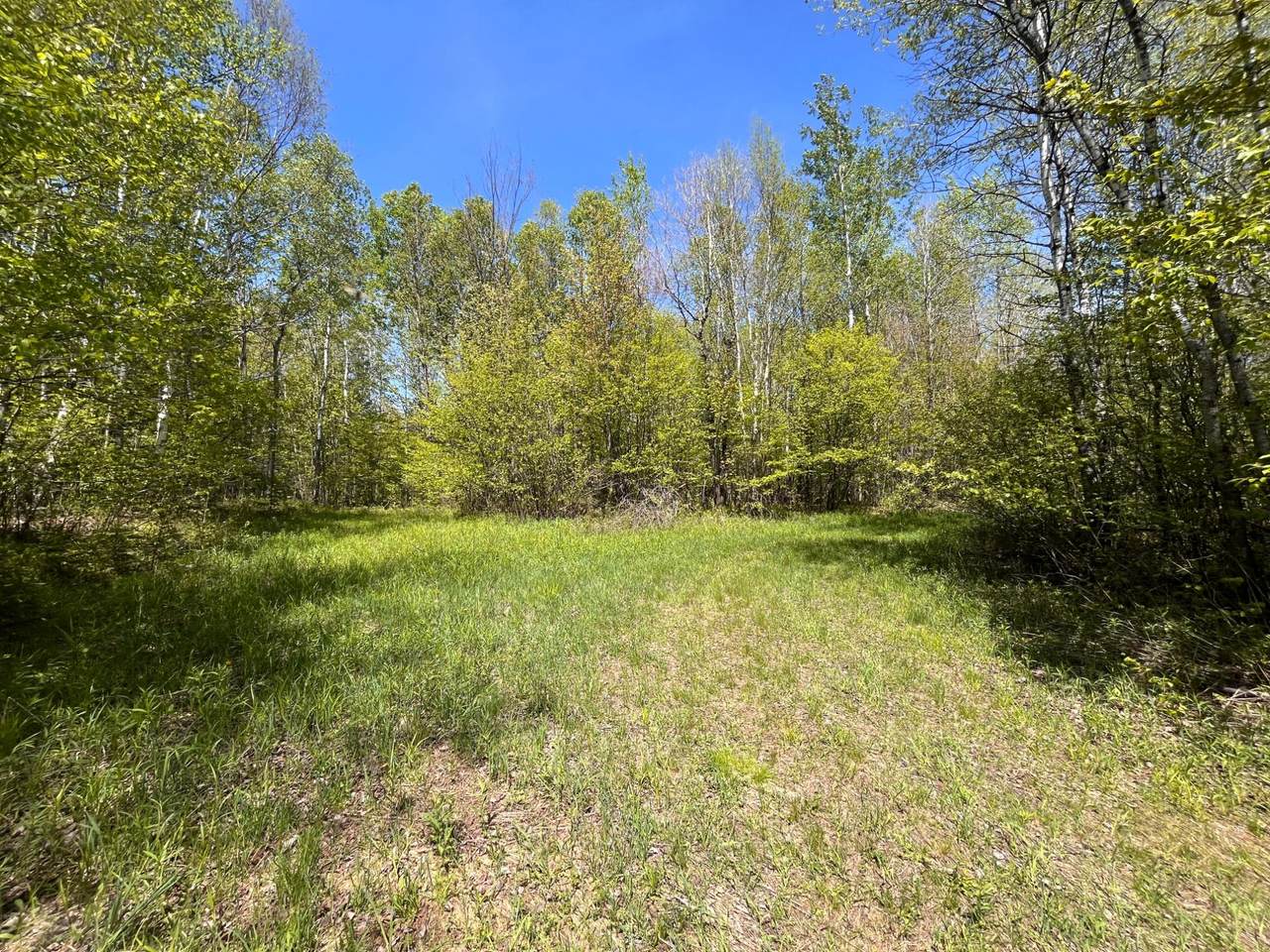 https://bt-photos.global.ssl.fastly.net/northwoods/1280_boomver_1_217332-2.jpg