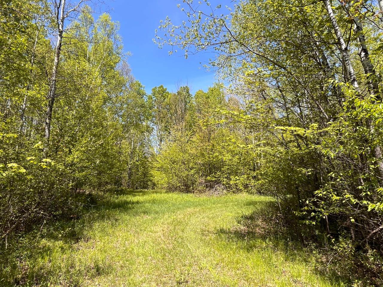 https://bt-photos.global.ssl.fastly.net/northwoods/1280_boomver_1_217332-2.jpg