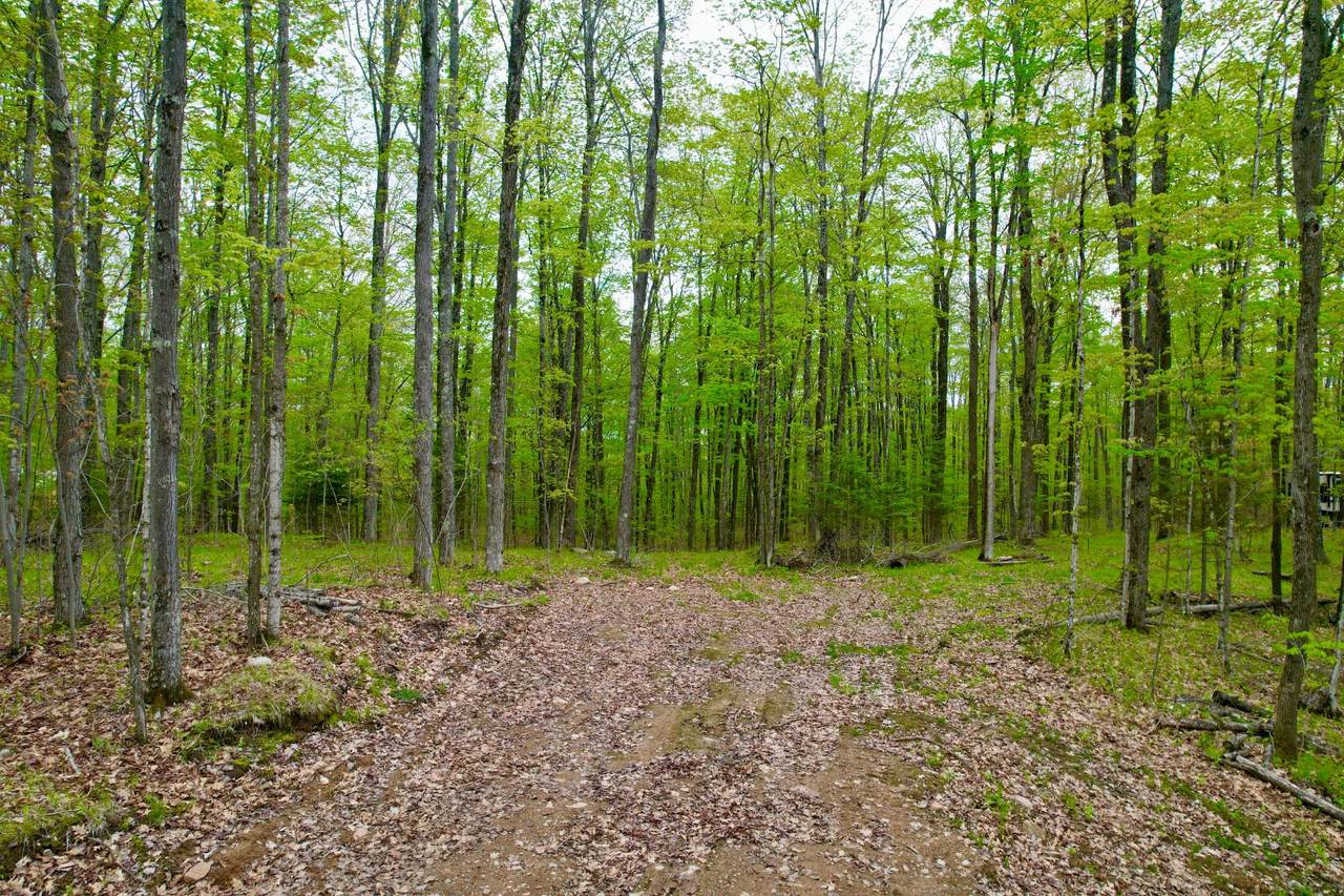 https://bt-photos.global.ssl.fastly.net/northwoods/1280_boomver_1_217348-2.jpg