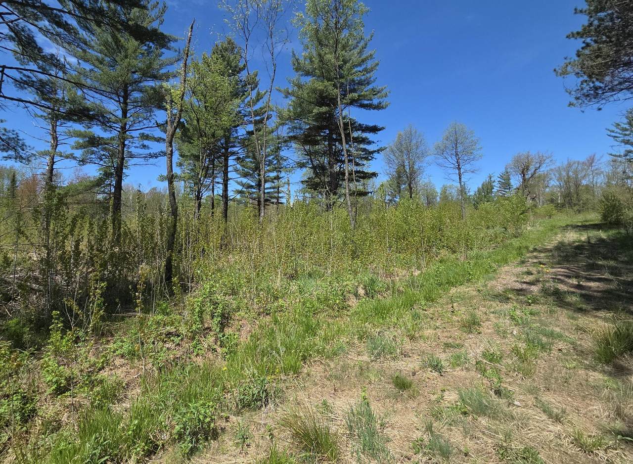 https://bt-photos.global.ssl.fastly.net/northwoods/1280_boomver_1_217386-2.jpg