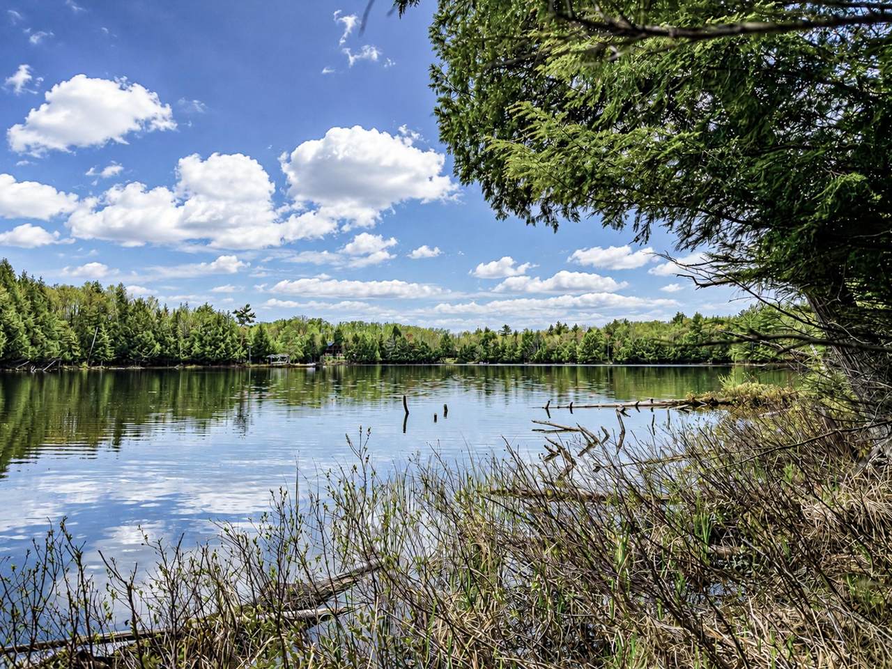 https://bt-photos.global.ssl.fastly.net/northwoods/1280_boomver_1_217394-2.jpg