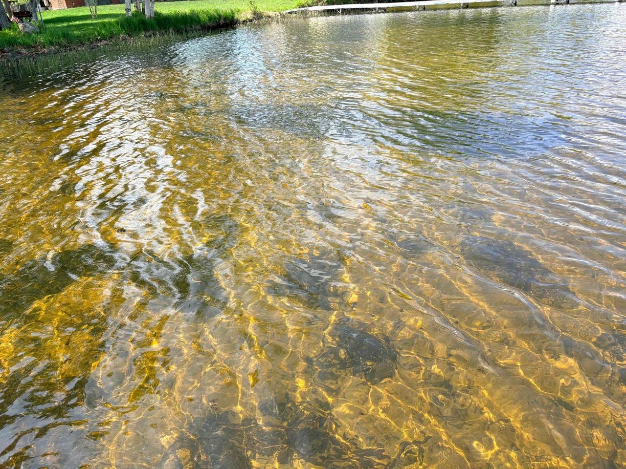 https://bt-photos.global.ssl.fastly.net/northwoods/1280_boomver_1_217403-2.jpg