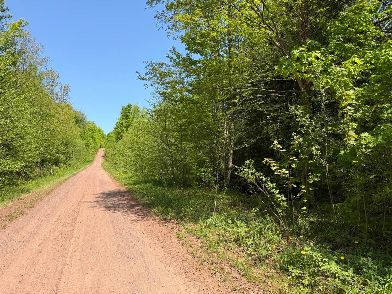 OFF Lake Rd E - Photo 1