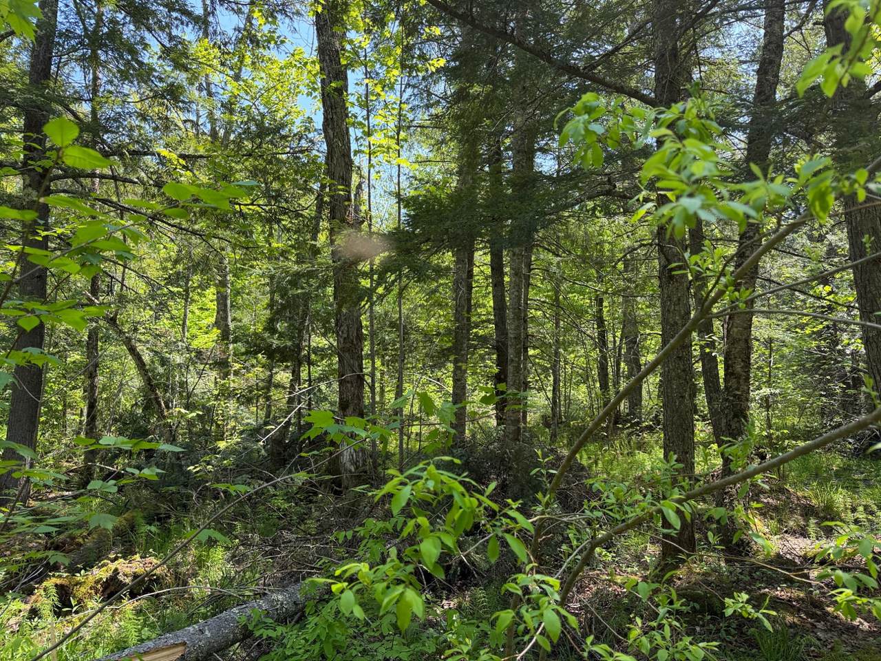https://bt-photos.global.ssl.fastly.net/northwoods/1280_boomver_1_217416-2.jpg