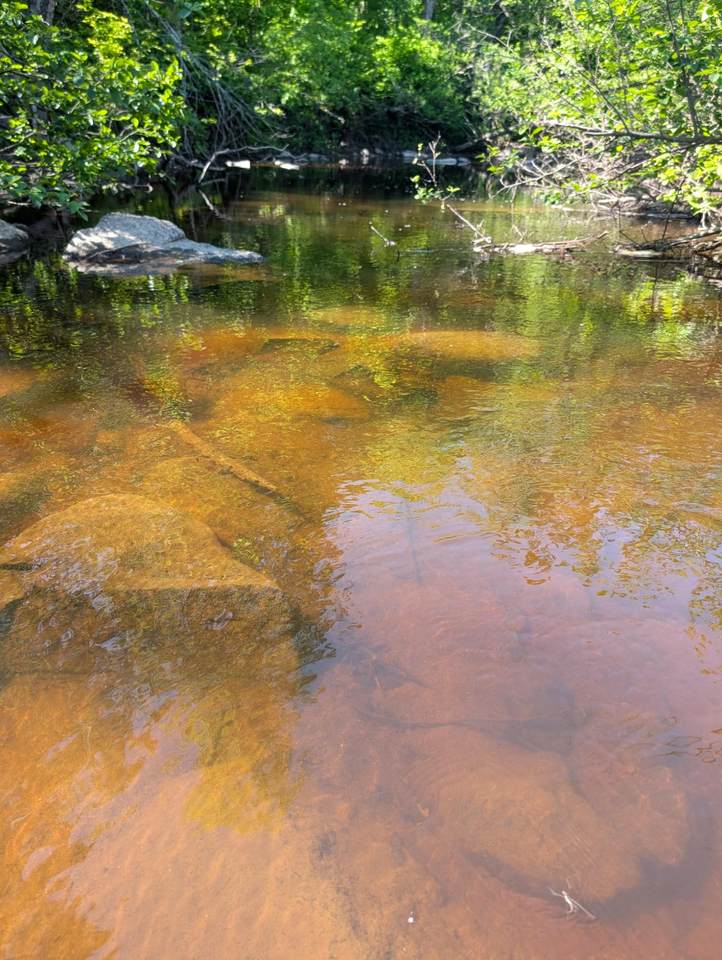 https://bt-photos.global.ssl.fastly.net/northwoods/1280_boomver_1_217442-2.jpg
