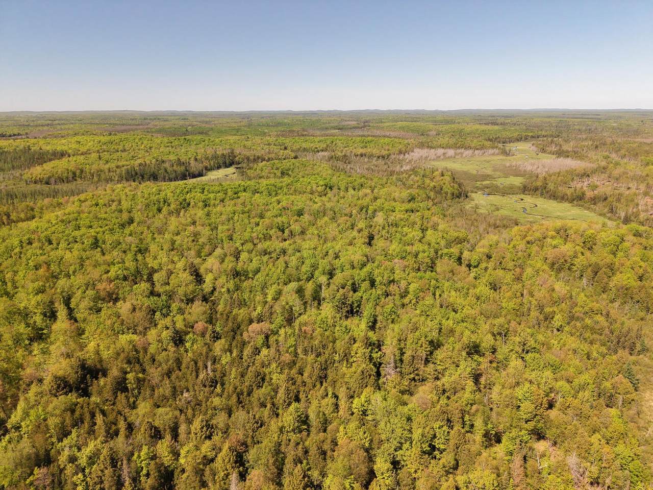 Off Island Lake Rd S - Photo 1