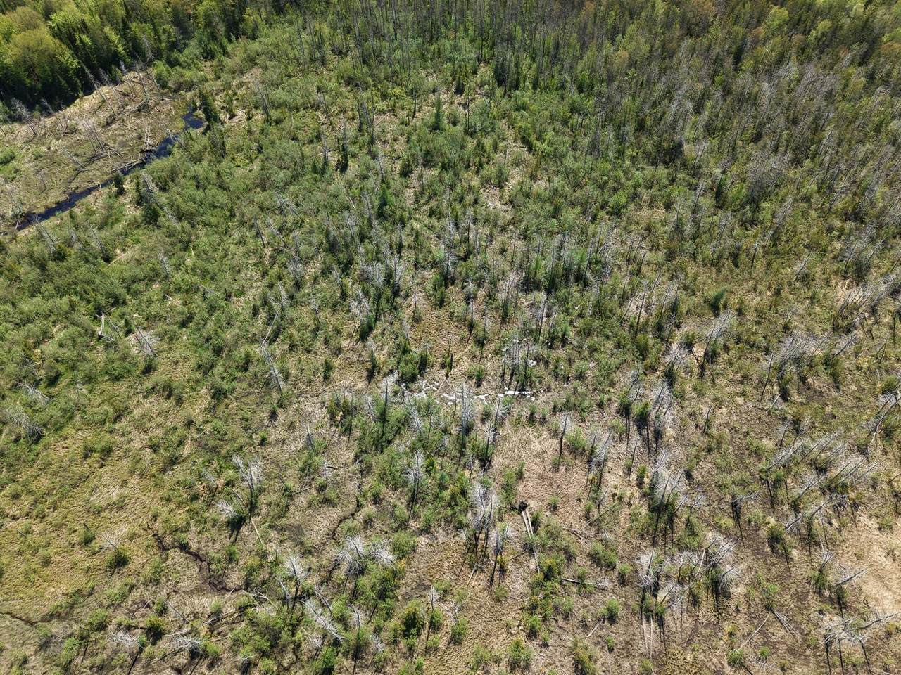 https://bt-photos.global.ssl.fastly.net/northwoods/1280_boomver_1_217449-2.jpg