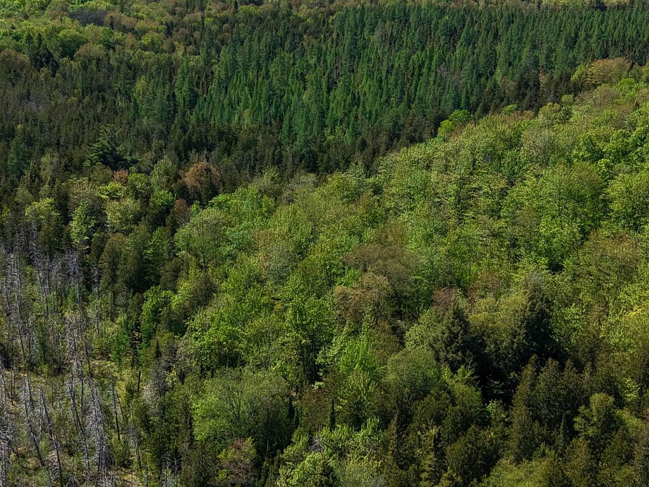 https://bt-photos.global.ssl.fastly.net/northwoods/1280_boomver_1_217449-2.jpg