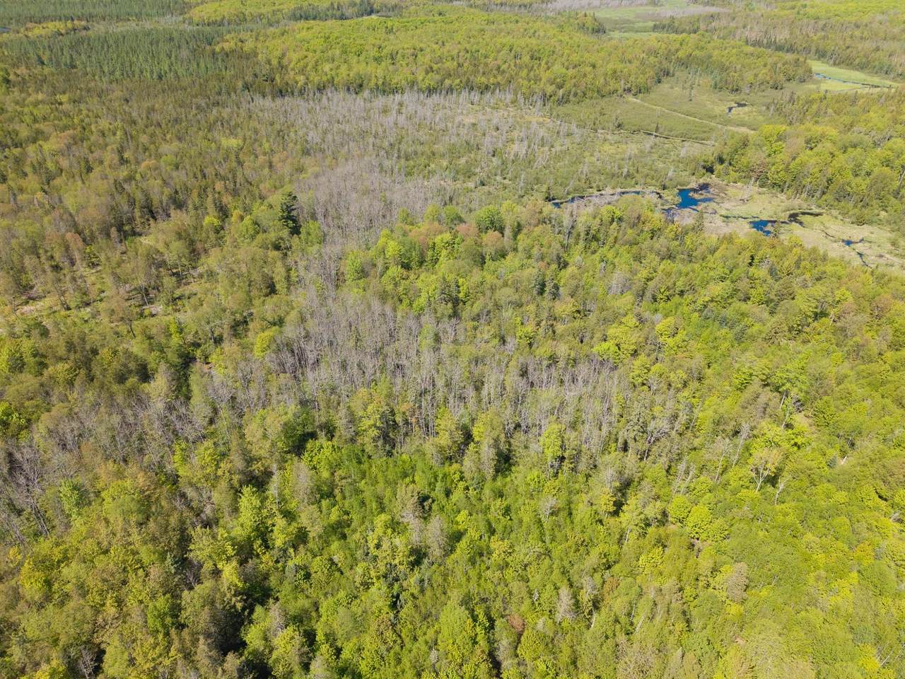 https://bt-photos.global.ssl.fastly.net/northwoods/1280_boomver_1_217449-2.jpg
