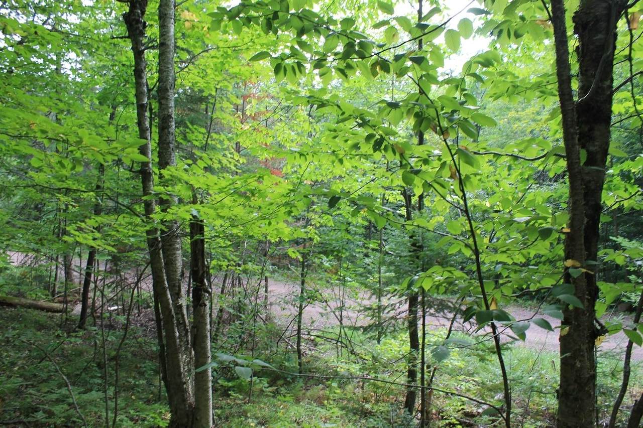 https://bt-photos.global.ssl.fastly.net/northwoods/orig_boomver_1_217493-2.jpg