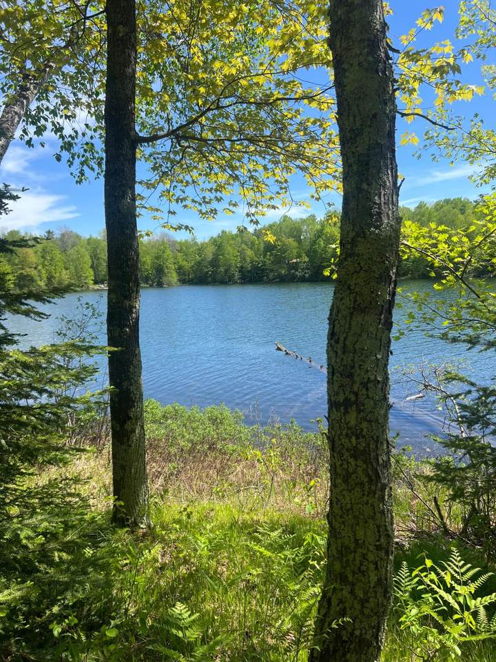 https://bt-photos.global.ssl.fastly.net/northwoods/1280_boomver_1_217510-2.jpg