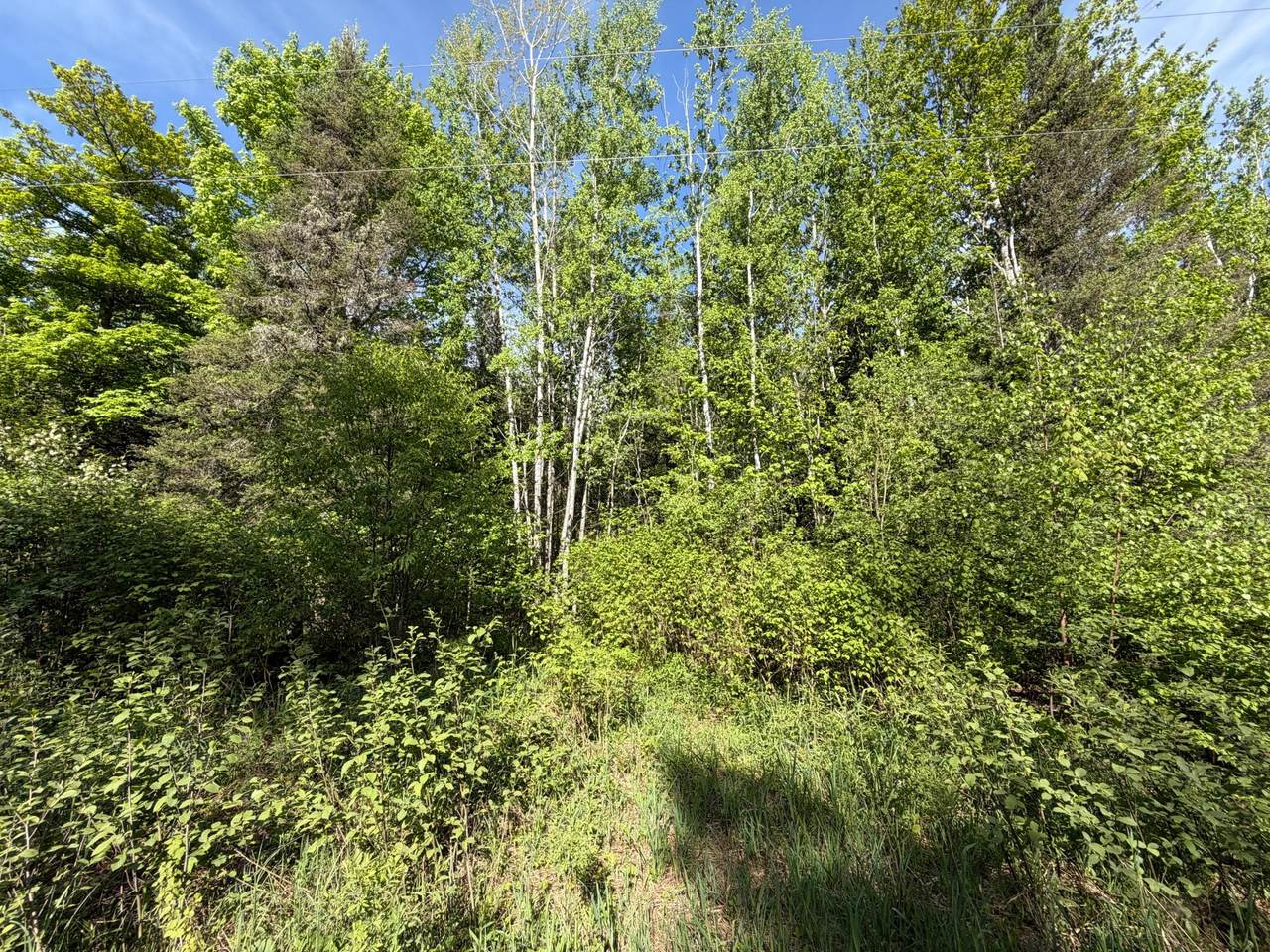 https://bt-photos.global.ssl.fastly.net/northwoods/orig_boomver_1_217519-2.jpg